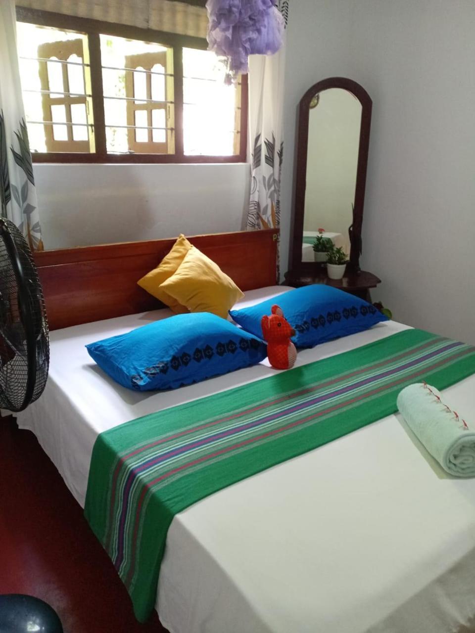 Near The Canal Homstay Сигирия Екстериор снимка
